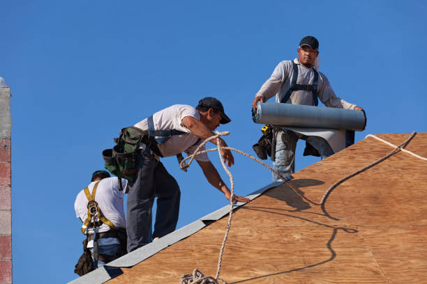 Best Storm Damage Roof Repair  in Hlside, IL